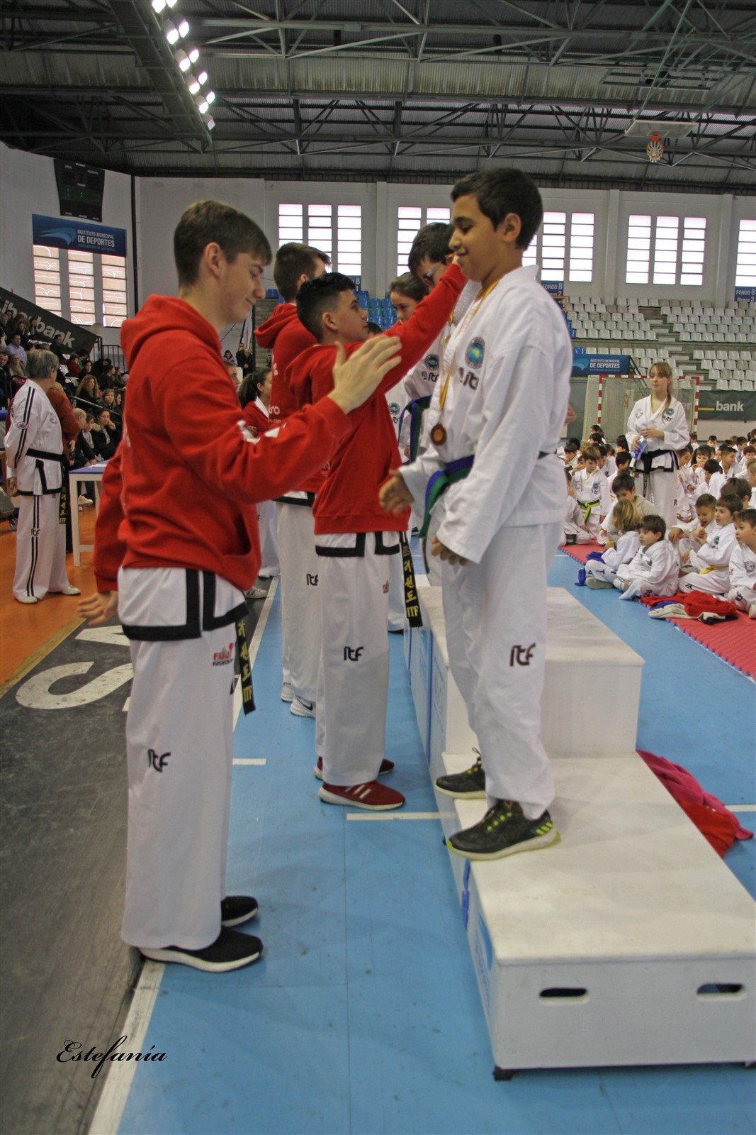 Taekwondo (258).jpg